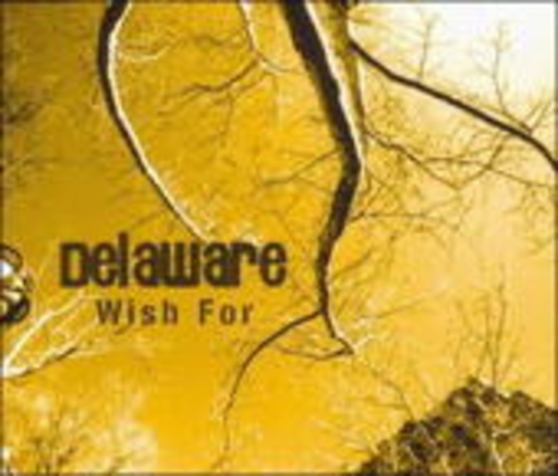 Delaware – Wish For