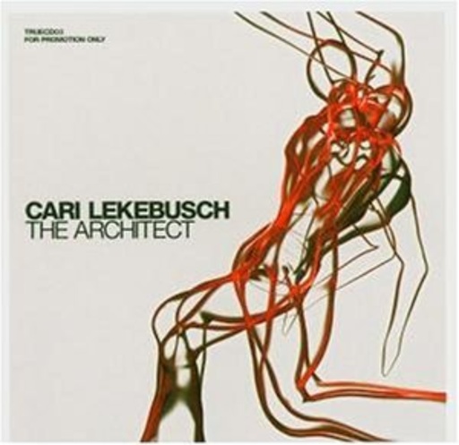 Cari Lekebusch – The Architect