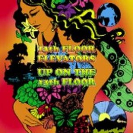 13th Floor Elevators – Up On The 13th Floor