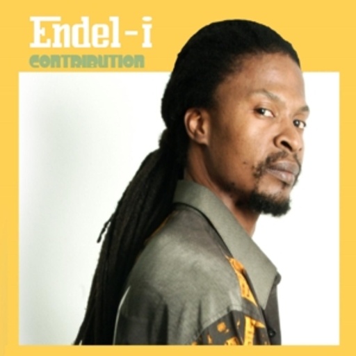 Endel-I – Contribution