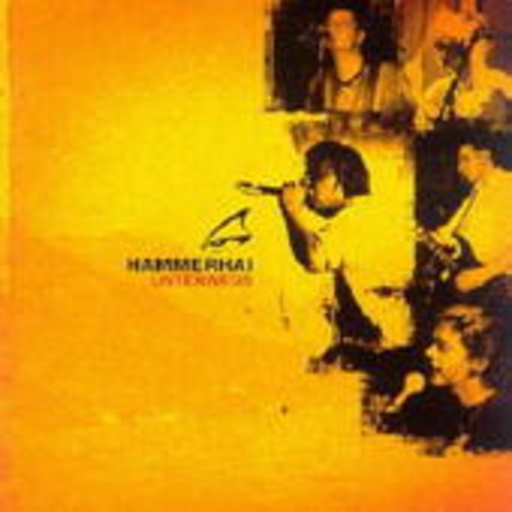 Hammerhai – Unterwegs