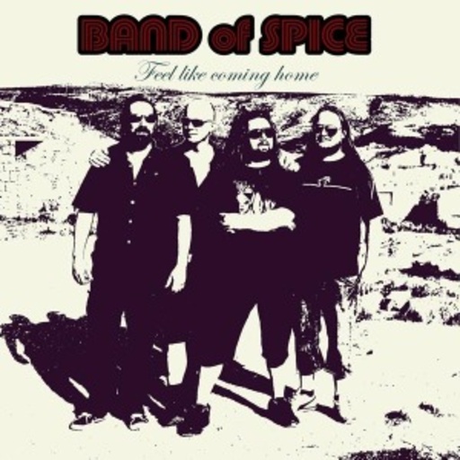 Band Of Spice – Feel Like Coming Home