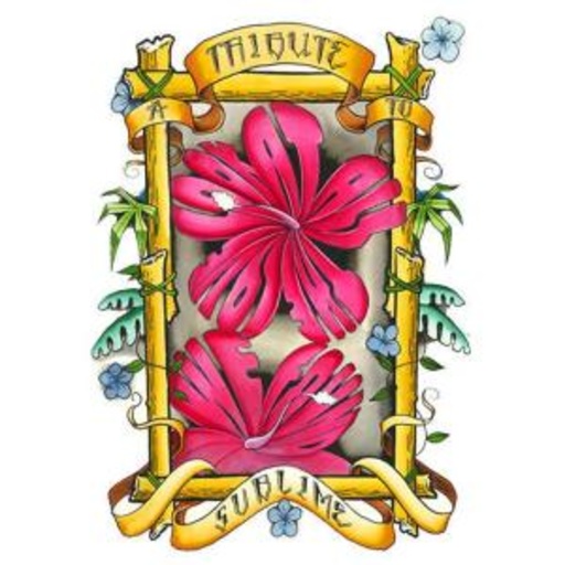 Diverse – Look At All The Love We Found - Sublime Tribute