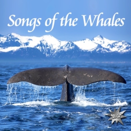 Nature Project – Songs Of The Whales