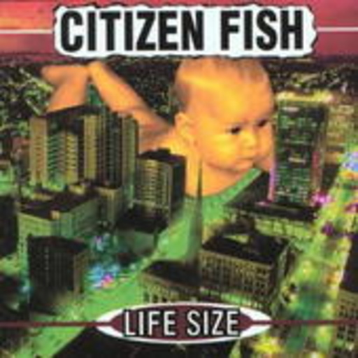 Citizen Fish – Life Size
