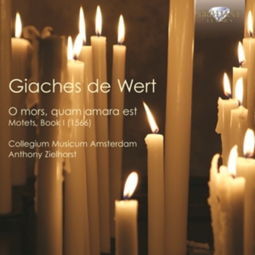 Anthony Zielhorst/Collegium Musicum Amsterdam – O Mors, Quam Amara Est