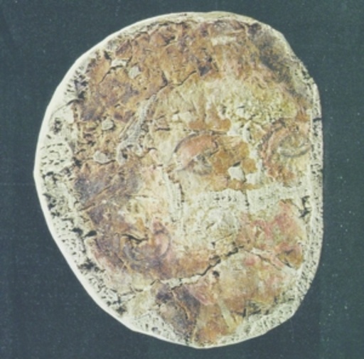 UTRO – Solnze
