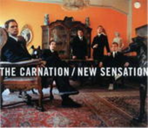 The Carnation – New Sensation