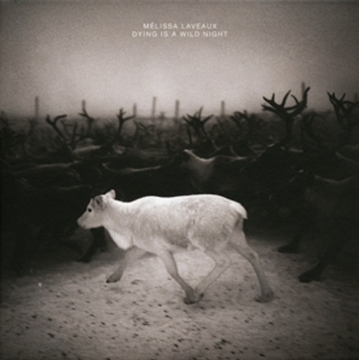 Melissa Laveaux – Dying Is A Wild Night