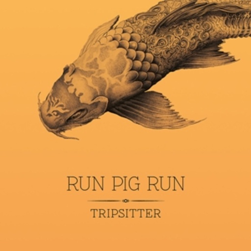 Run Pig Run – Tripsitter