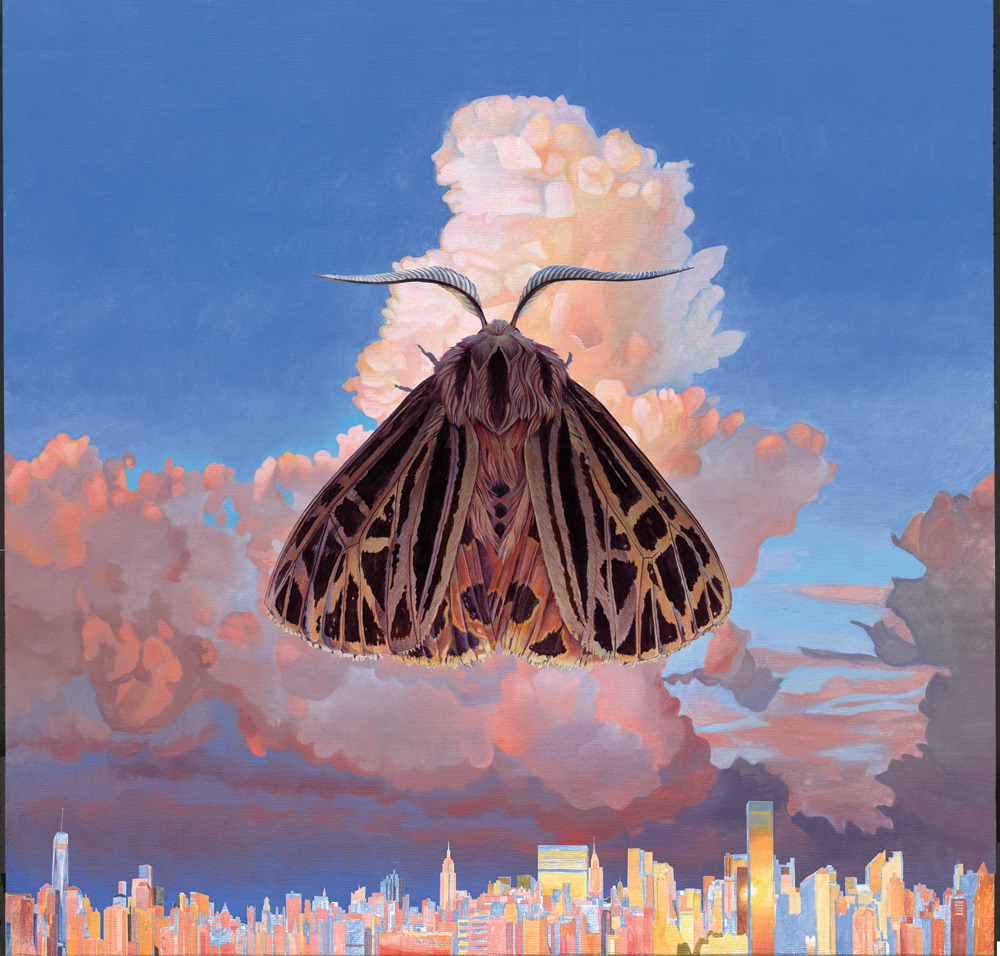 Chairlift – Moth