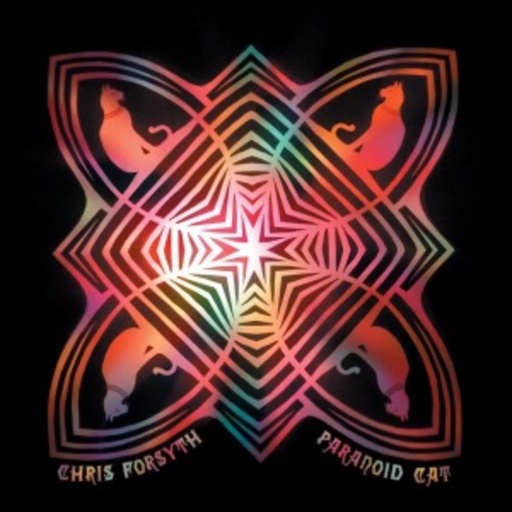 Chris Forsyth – Paranoid Cat