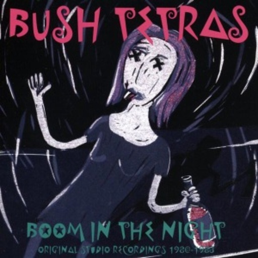Bush Tetras – Boom In The Night