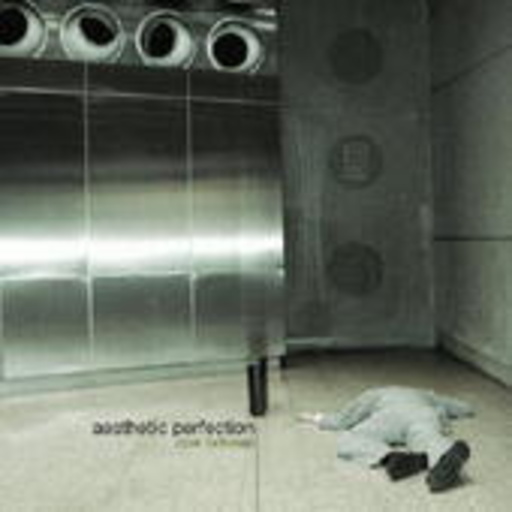 Aesthetic Perfection – Close To Human