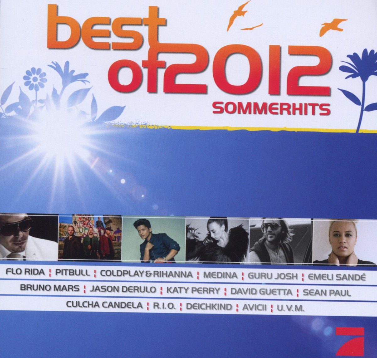 Diverse – Best Of 2012 - Sommerhits