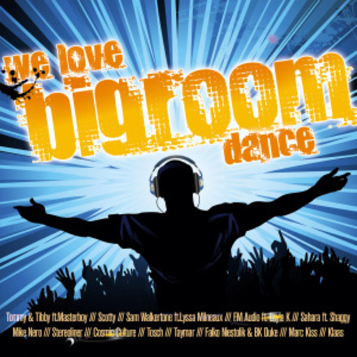 Diverse – We Love Big Room