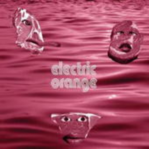 Electric Orange – Fleischwerk