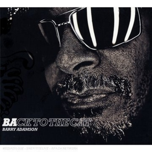 Barry Adamson – Back To The Cat
