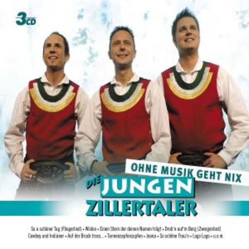 Die Jungen Zillertaler – Ohne Musik geht nix