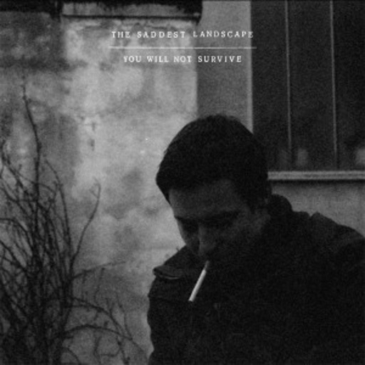 The Saddest Landscape – You Will Not Survive