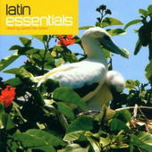 Diverse – Latin Essentials