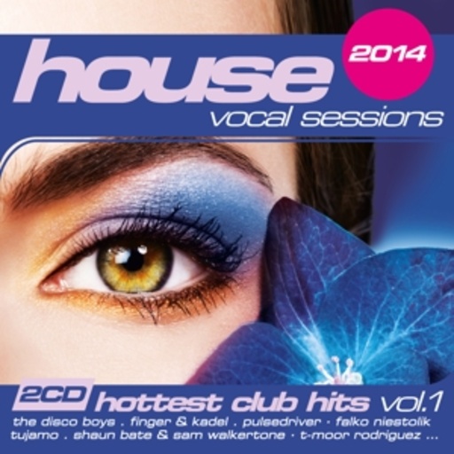 Diverse – House - Vocal Sessions 2014 - Hottest Club Hits Vol. 1