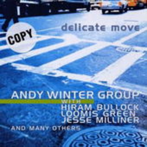 Andy Winter Group – Delicate Move