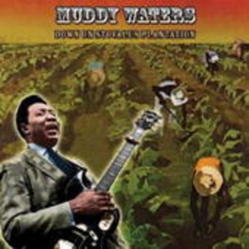 Muddy Waters – Down In Stovall's Plantation