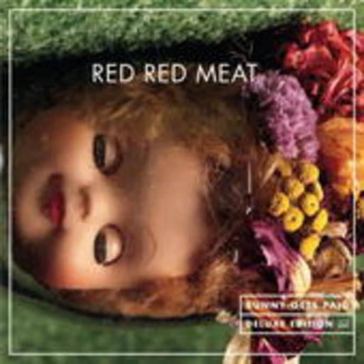 Red Red Meat – Bunny Gets Paid