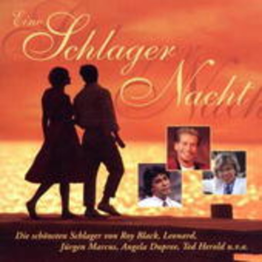 Diverse – Eine Schlagernacht