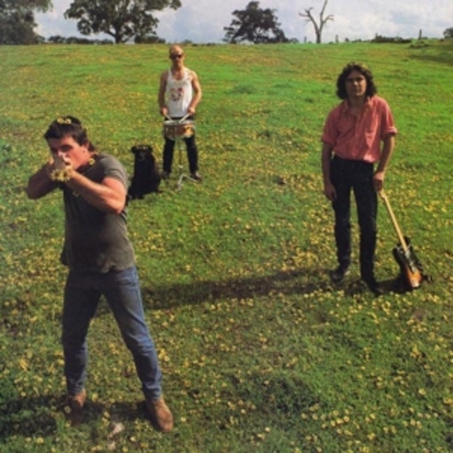 Cosmic Psychos – Down The Farm/Cosmic Psychos