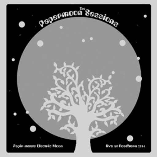 Papir Meets Electric Moon – The Papermoon Sessions - Live At Roadburn 2014
