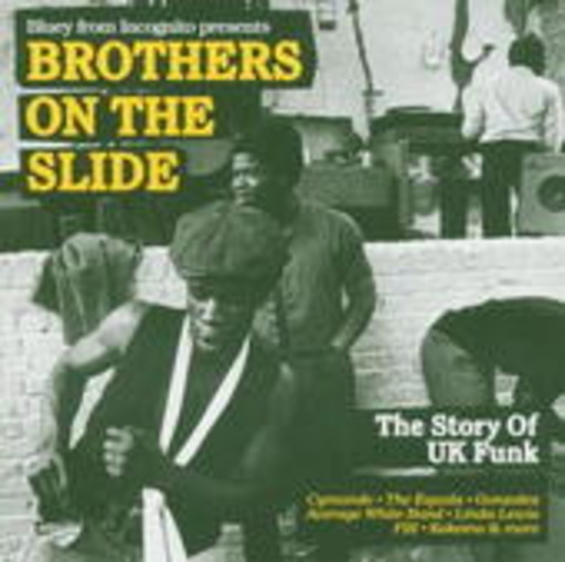 Brothers On The Slide