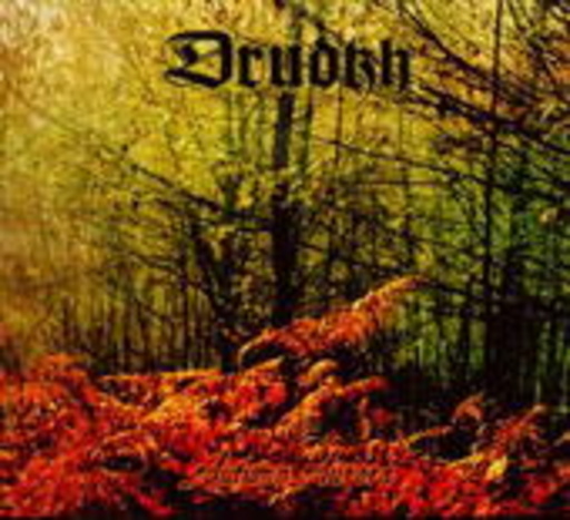 Autums Aurora