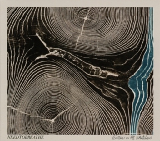 Needtobreathe – Rivers In The Wasteland