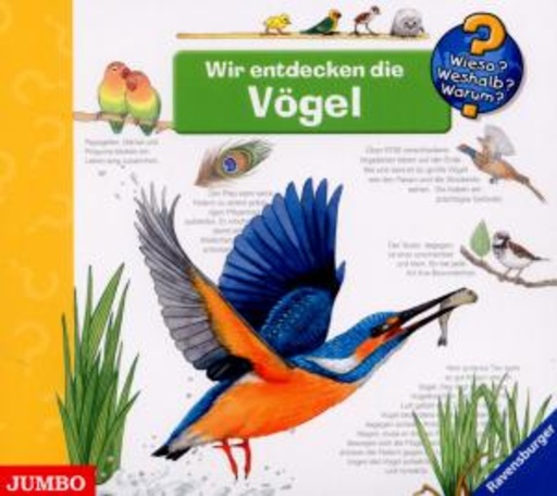Diverse – Wieso?Weshalb?Warum? - Wir entdecken die Vögel
