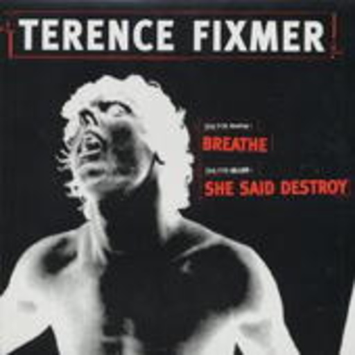 Terence Fixmer – She Said Destroy