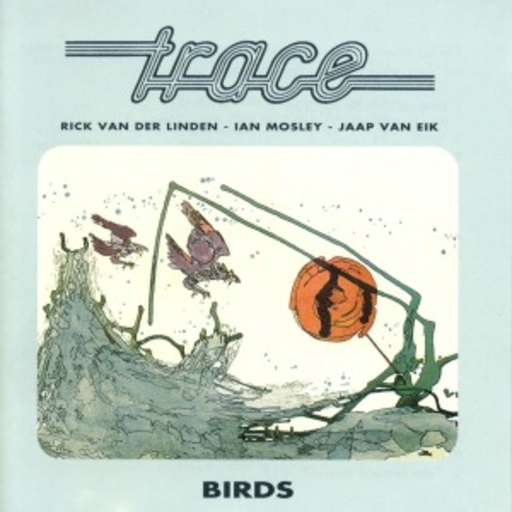 Trace – Birds