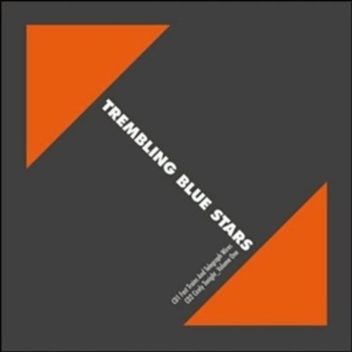 Trembling Blue Stars – Fast Trains And Telegraph Wires