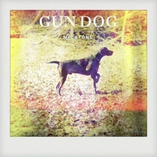 Micatone – Gun Dog