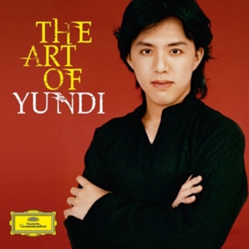 Yundi – The Art Of
