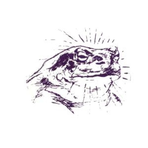 Bardo Pond – Bufo Alvarius