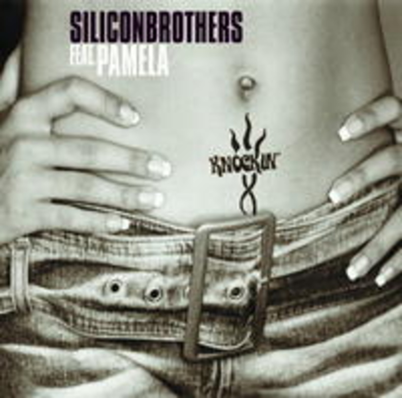 Will an die Tür der Austria-Charts klopfen: Neue Single der Silicon Brothers