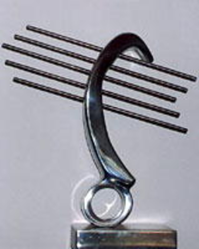 Wird dreimal vergeben: die Trophäe zum "Songwriter Contest 2004"