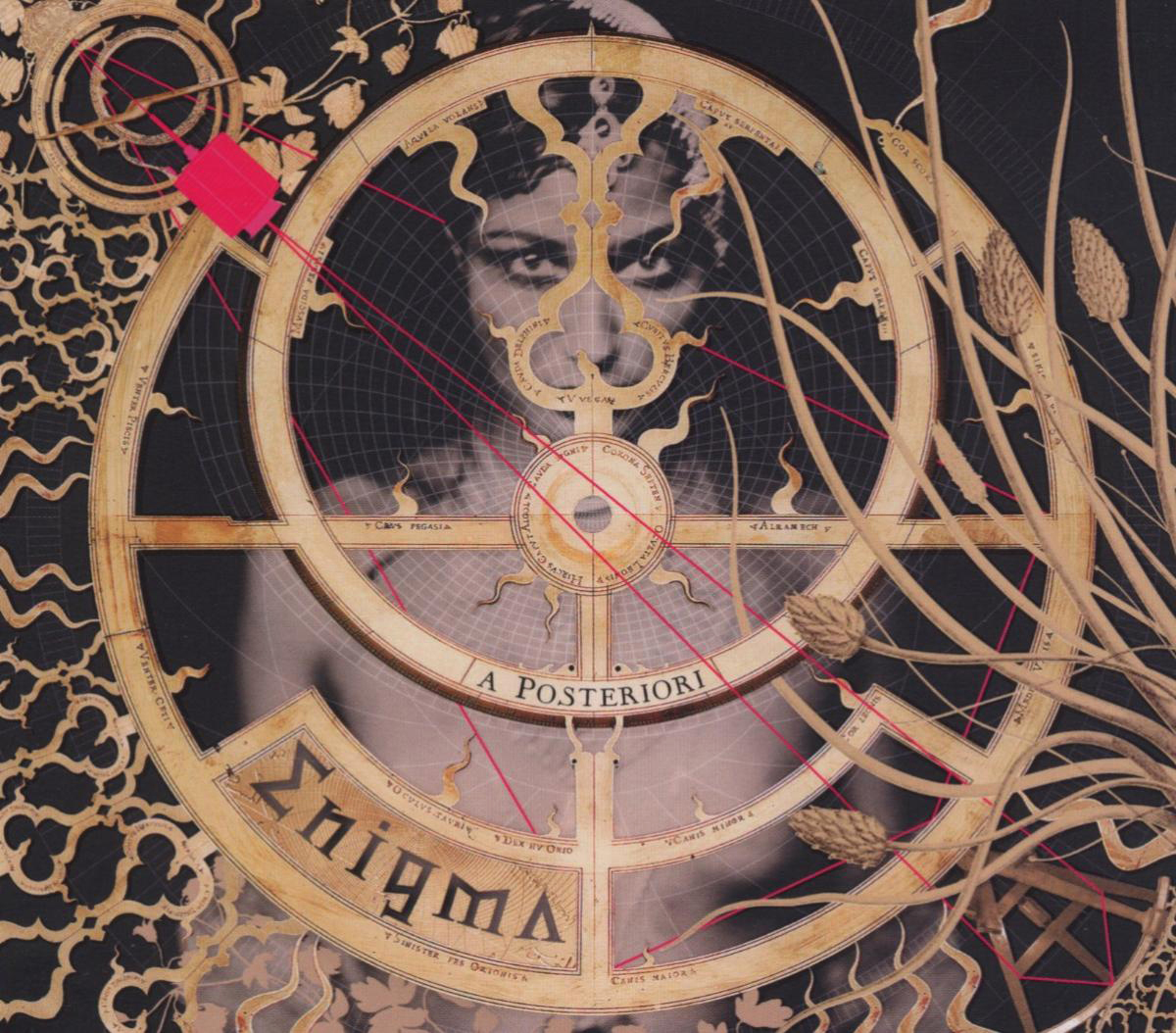 Enigma – A Posteriori