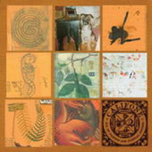 Califone – All My Friends Are Funeral Singers