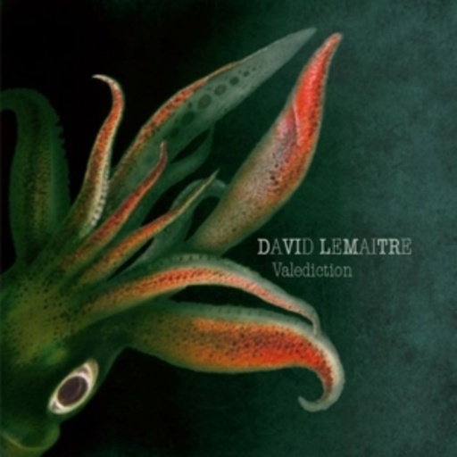 David Lemaitre – Valediction