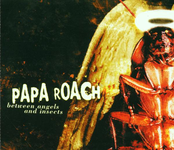 Between Angels And Insects