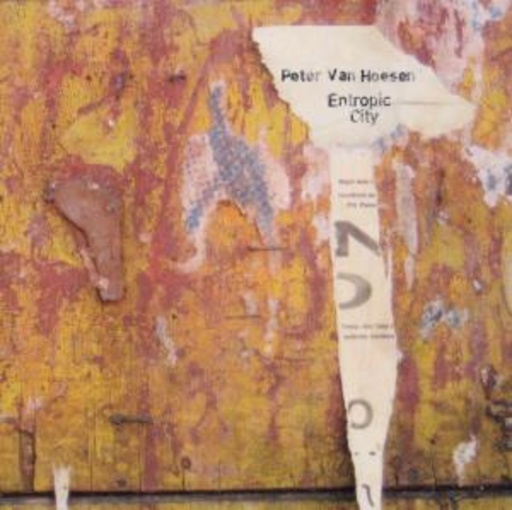 Entropic City