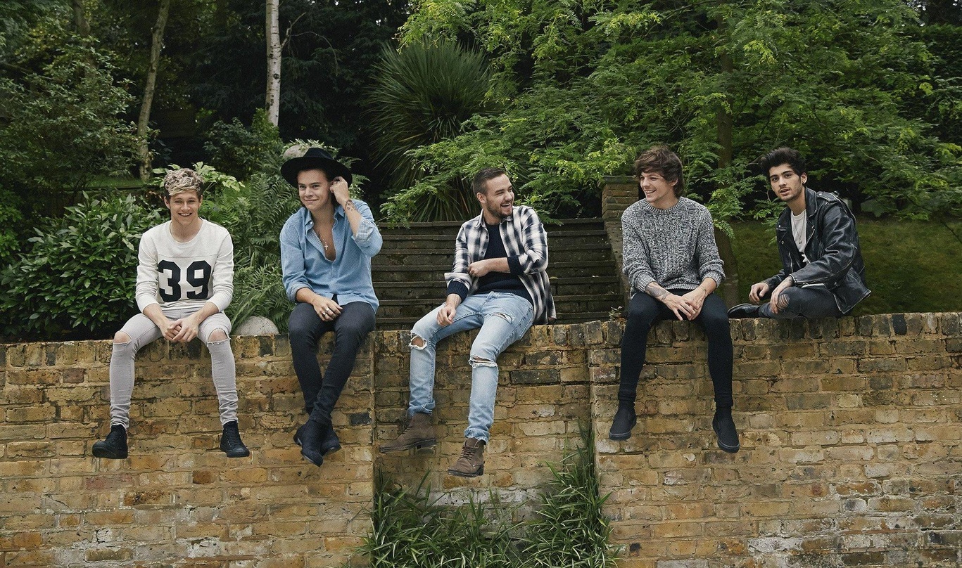 Rekordjäger: One Direction